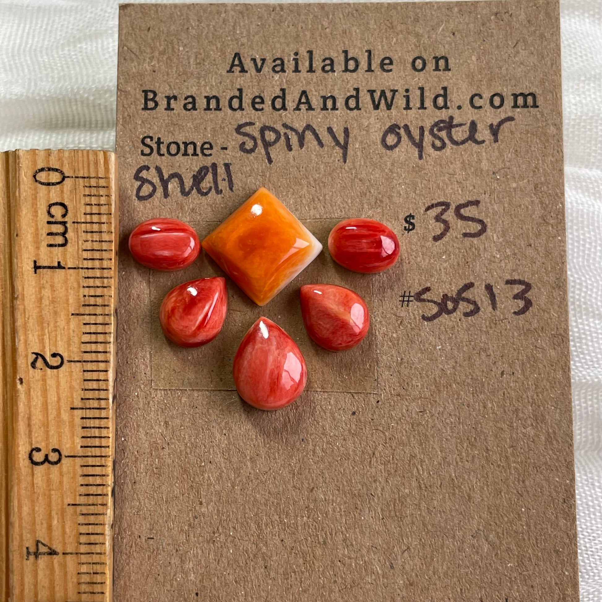 Oyster Shell Cabochon - S0S13 A39CA120-58EC-46BC-BB32-5EF26C08C8AF Brandedandwild.com