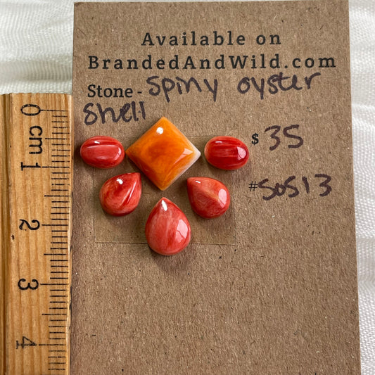 Oyster Shell Cabochon - S0S13 A39CA120-58EC-46BC-BB32-5EF26C08C8AF Brandedandwild.com