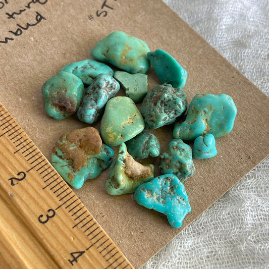 Rough Tumbled Sonoran Gold Turquoise - #ST13