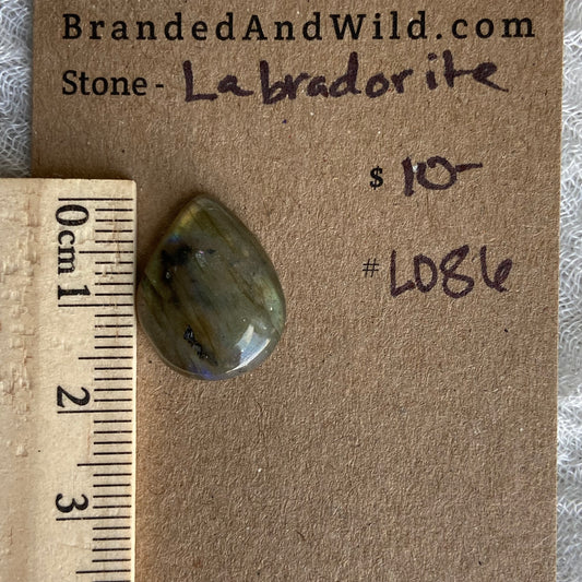 Labradorite Cabochon - L086