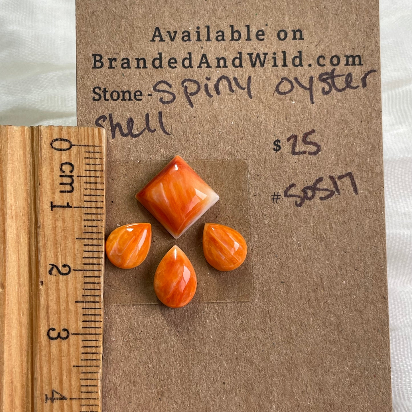 Oyster shell Cabochon - S0S17 A3E6578D-248F-4D11-84C7-0F33CDD13E03 Brandedandwild.com
