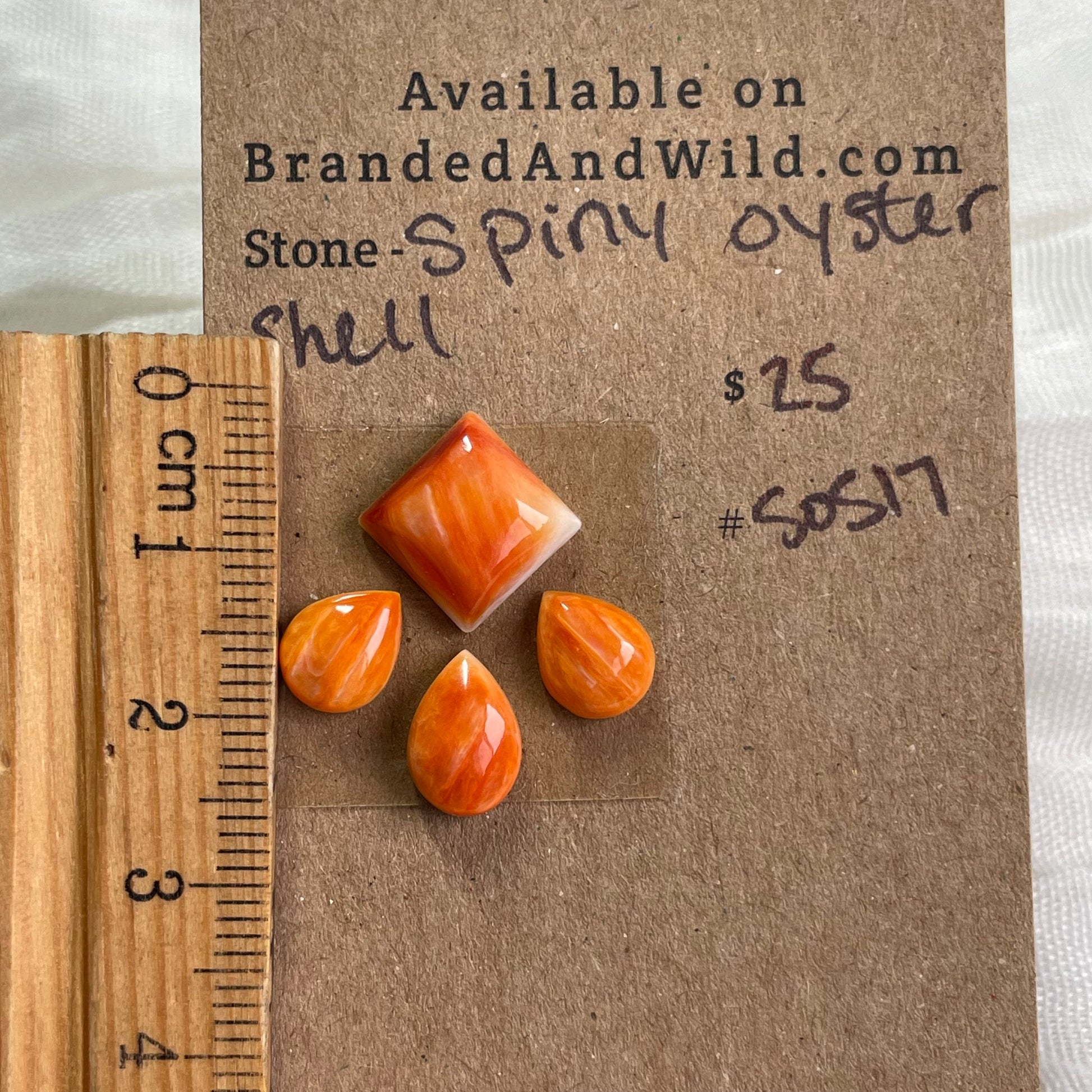 Oyster shell Cabochon - S0S17 A3E6578D-248F-4D11-84C7-0F33CDD13E03 Brandedandwild.com