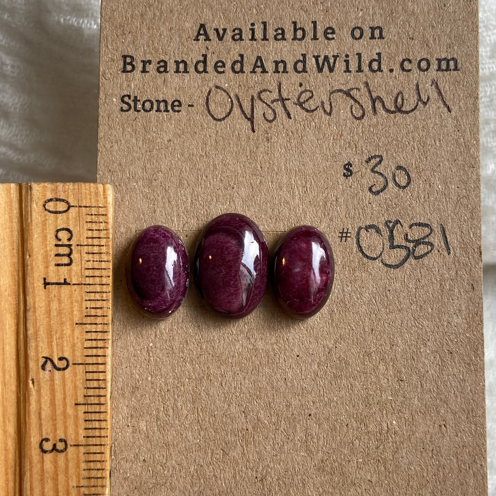 Oyster Shell Cabochon - OS81 A3F419D2-67E8-4239-A9A5-0953946F58A3 Brandedandwild.com