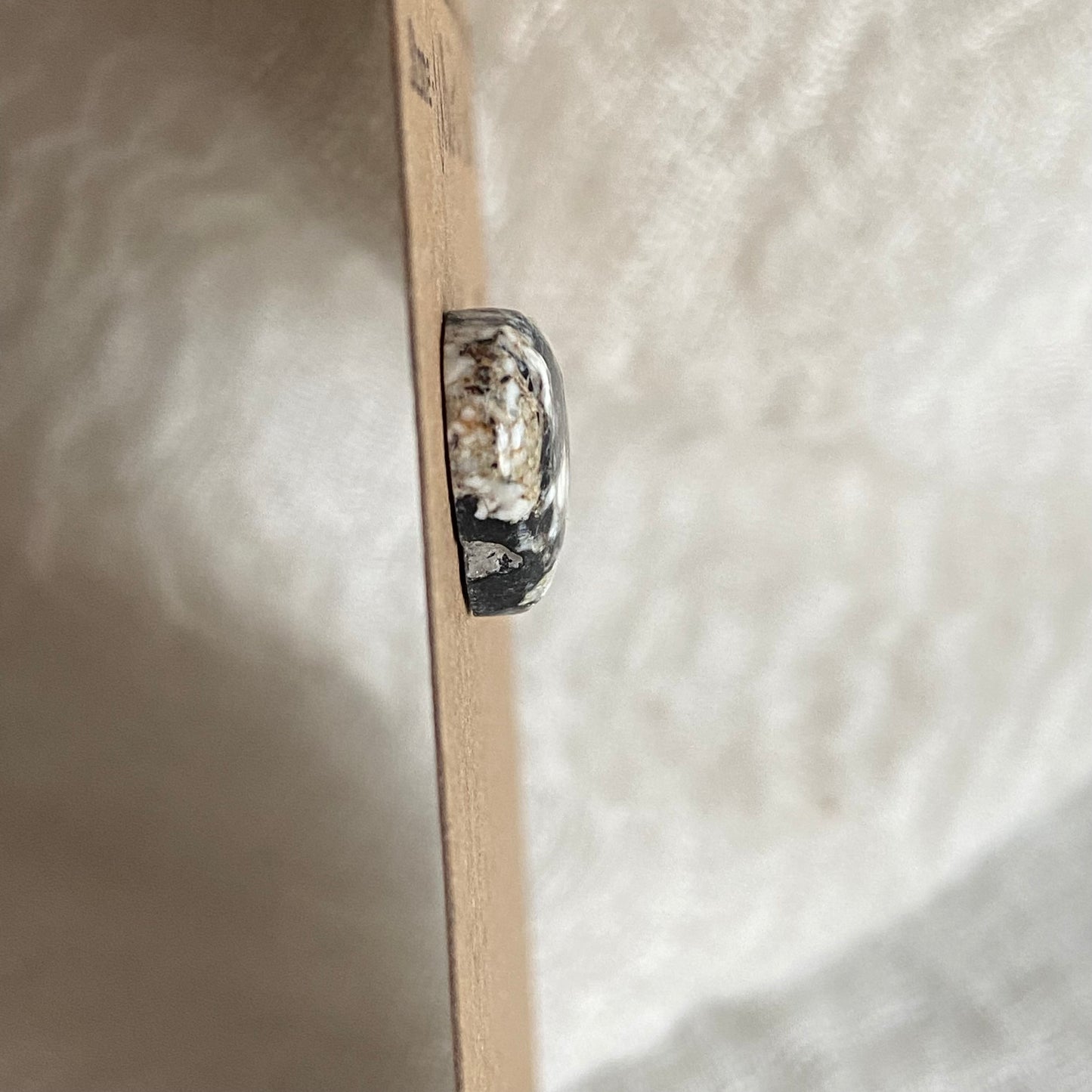 White Buffalo Cabochon - WB40