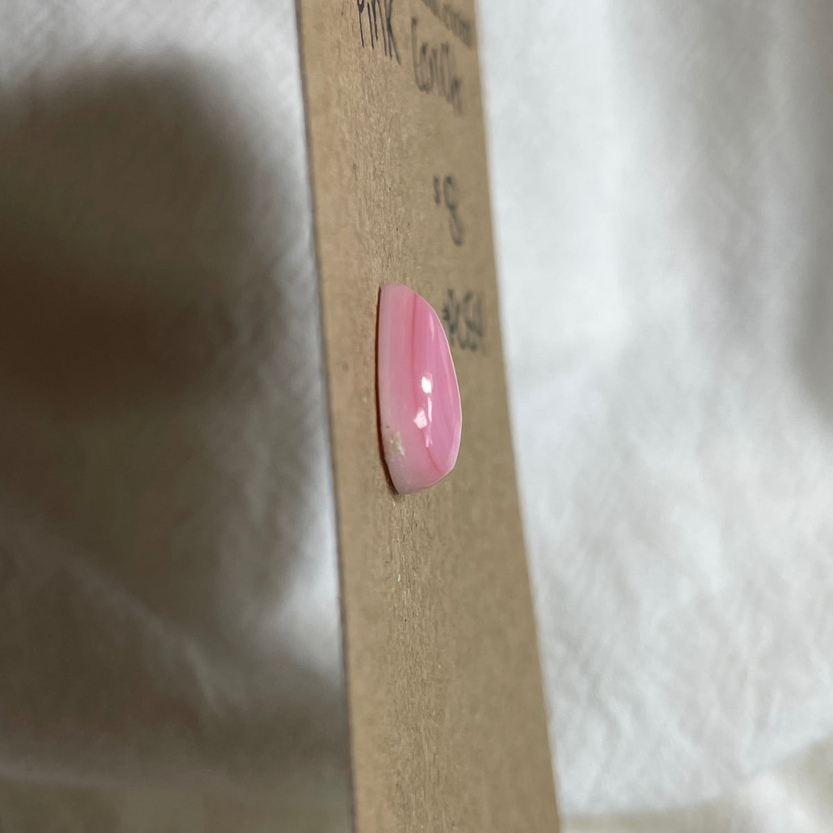 Pink Conch Cabochon - PC54 A41E0109-D0CF-49A1-9B9E-323E2C2D5903 Brandedandwild.com