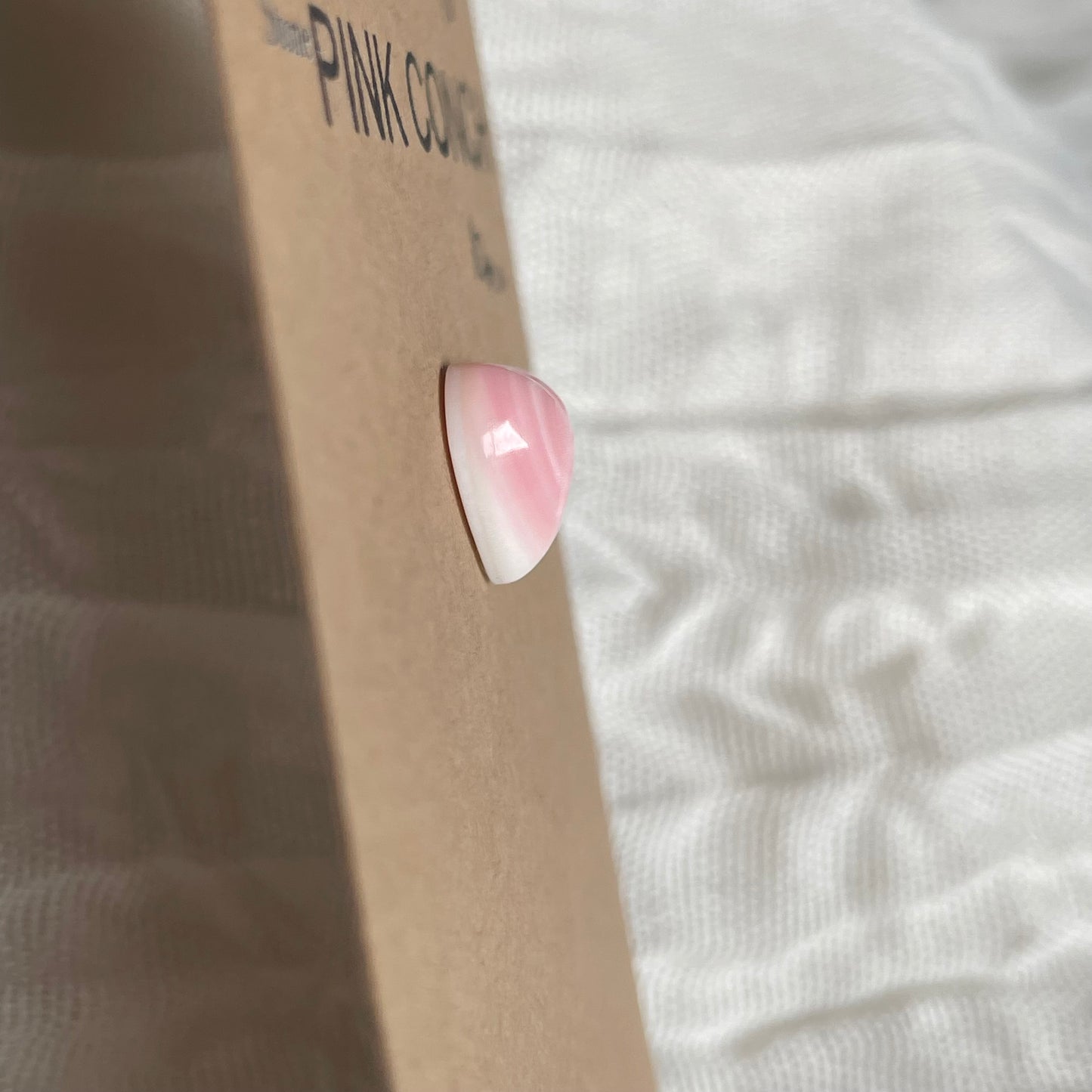 Pink Conch Cabochon - PC19 A4345C43-51FB-46D0-BDAB-6E1A8F191B58 Brandedandwild.com