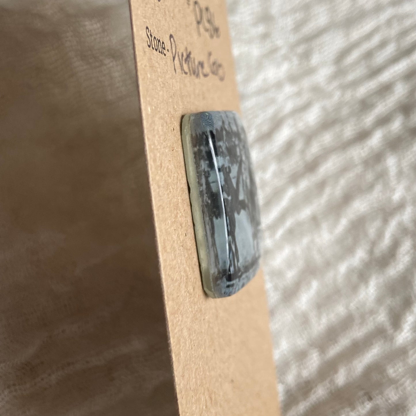 Picture Cabochon - Cabochon - PC86 A43867D6-B6B3-45E6-B92F-B3F928C1E600 Brandedandwild.com