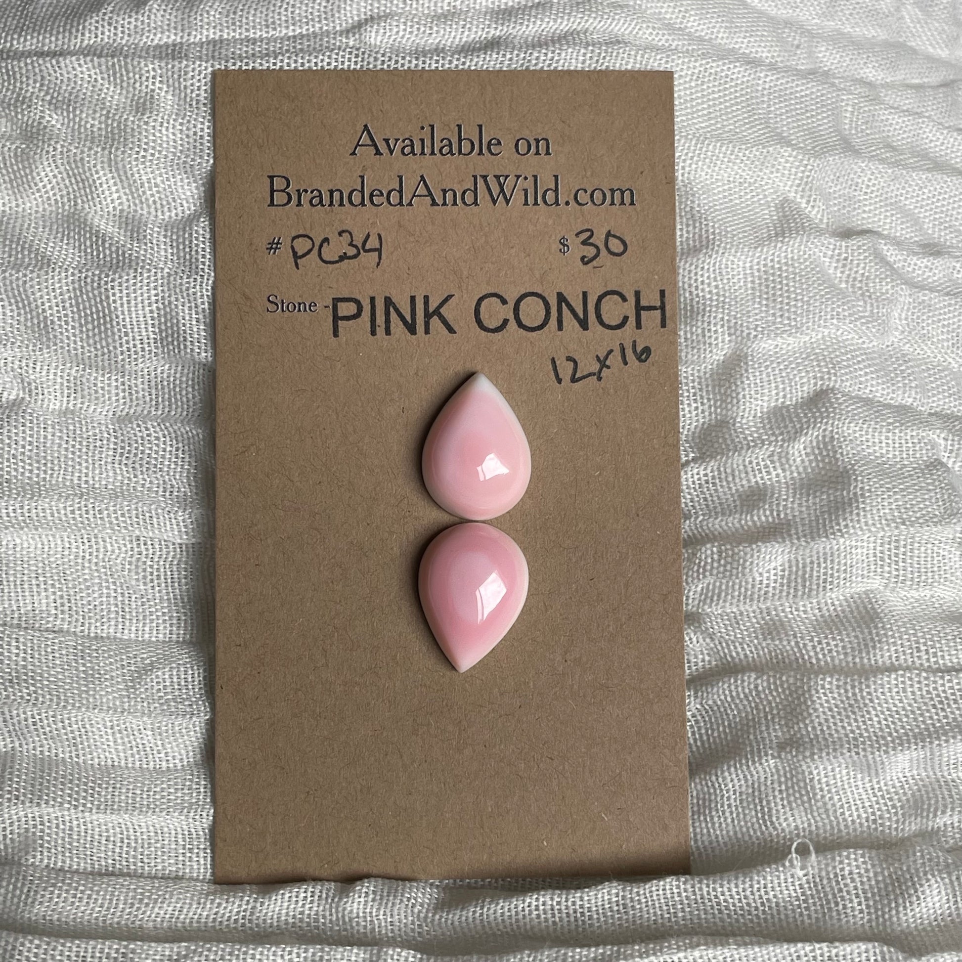 Pink Conch Cabochon - PC34 A4392730-D977-47D3-85F0-EFA4D20974A4 Brandedandwild.com