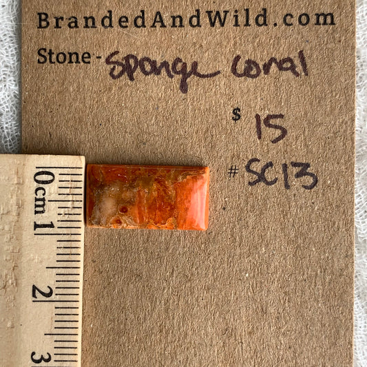 Sponge Coral Cabochon - SC13
