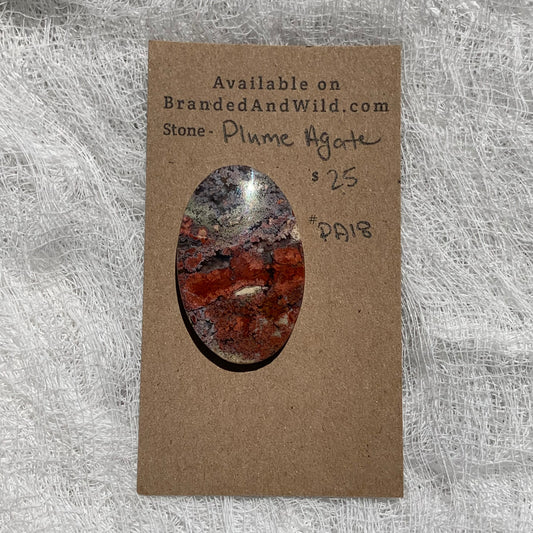 Plume Agate Cabochon - PA18