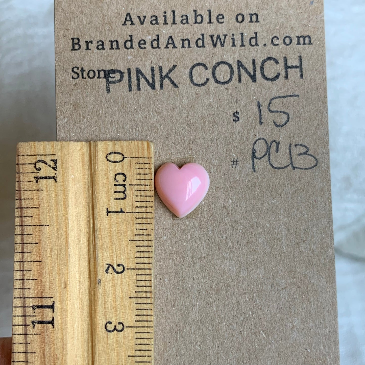 Pink Conch Cabochon - PC13