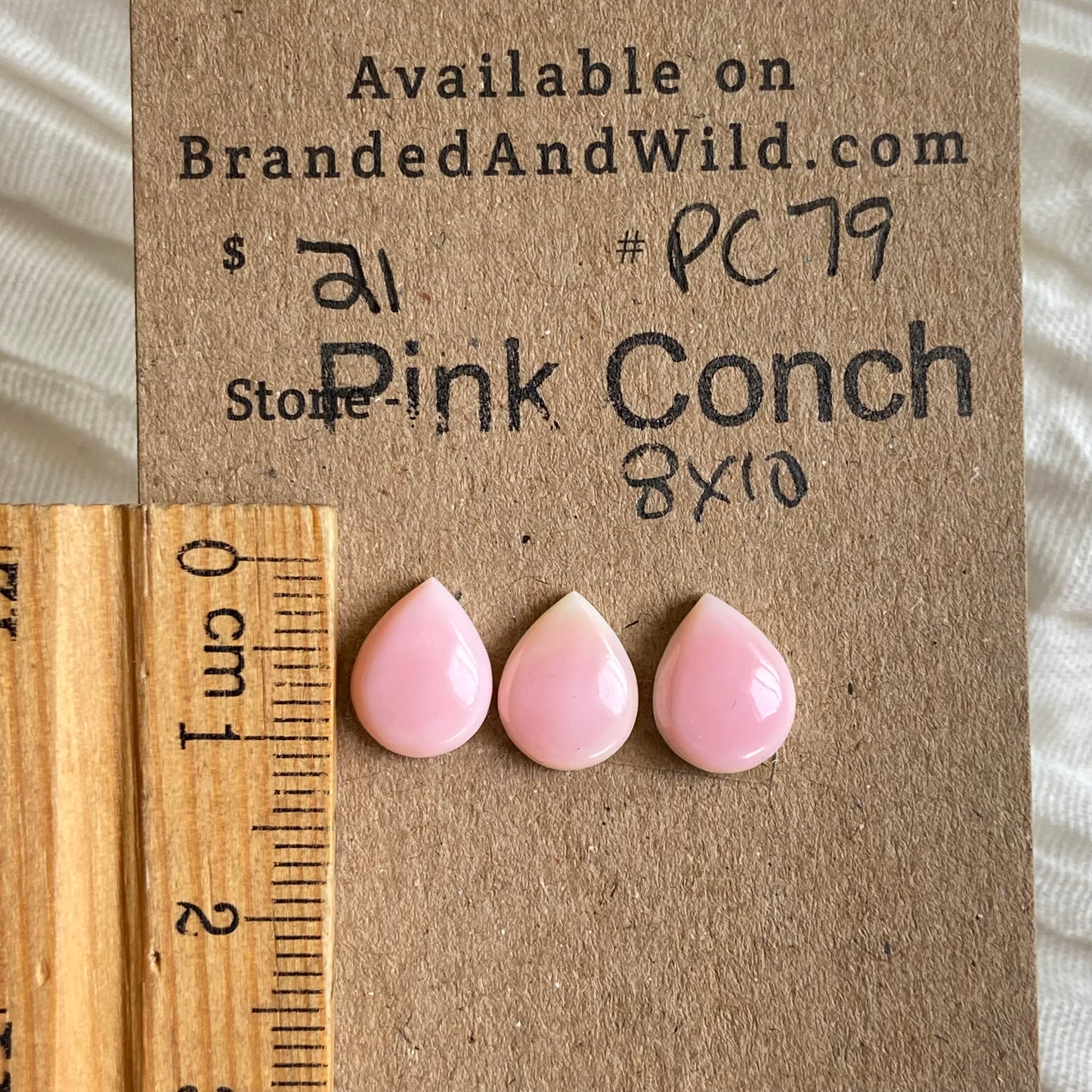 Pink Conch Cabochon - PC79