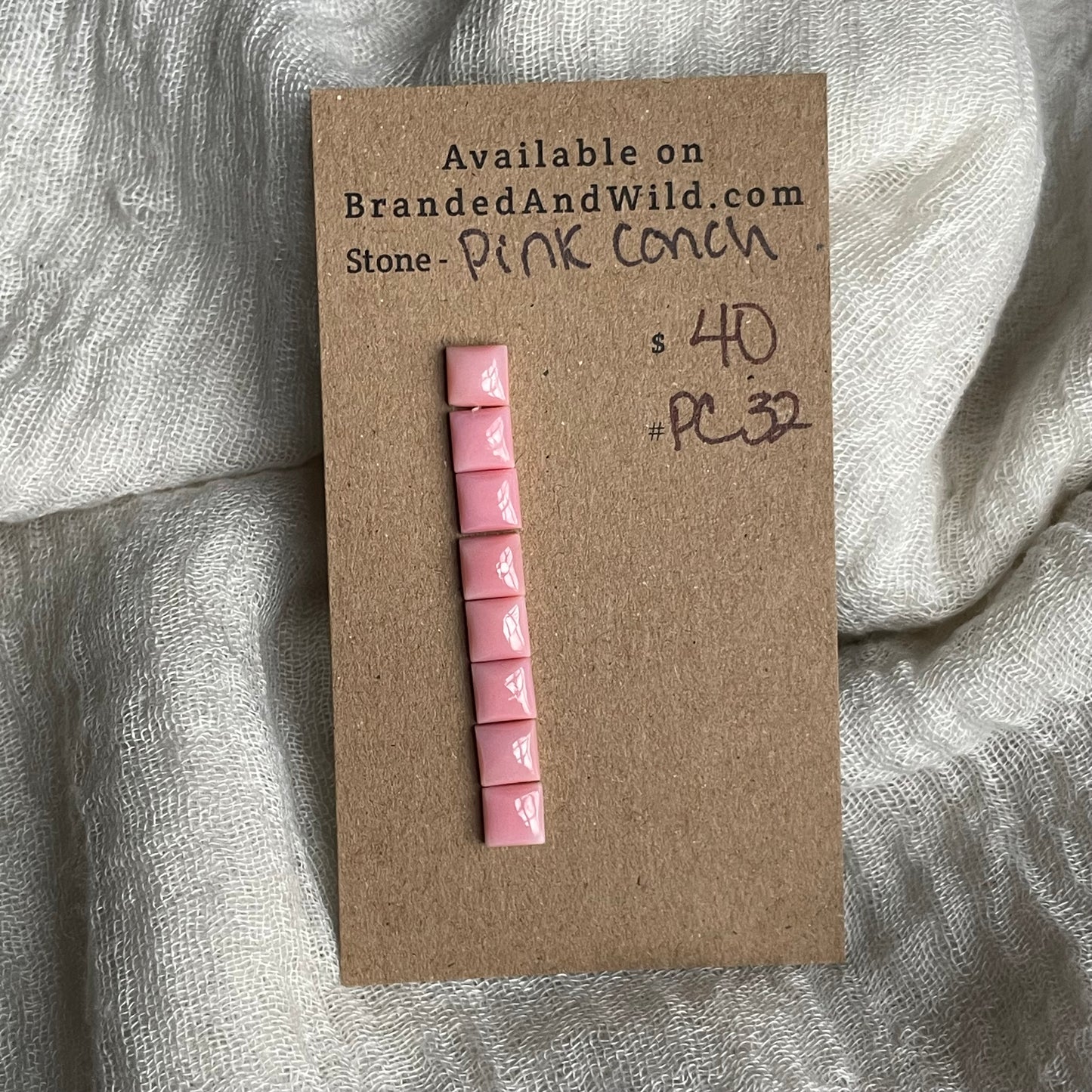 Pink Conch Cabochon - PC32 A4C13099-B2F8-4E67-B991-40576ACDCE70 Brandedandwild.com