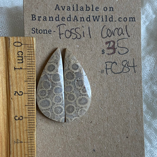 Fossil Coral Cabochon - FC84 A4C21326-404A-44C0-89A2-7F5F3F6DF0E2 Brandedandwild.com