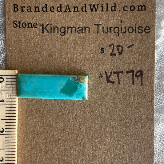 Kingman Turquoise Cabochon - KT79