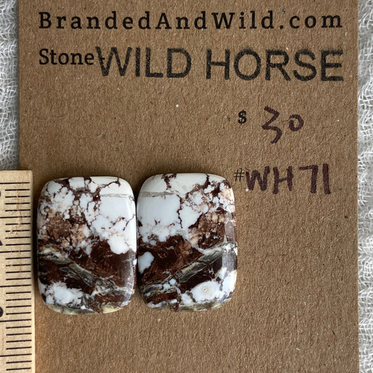 Wild Horse Cabochon - WH71