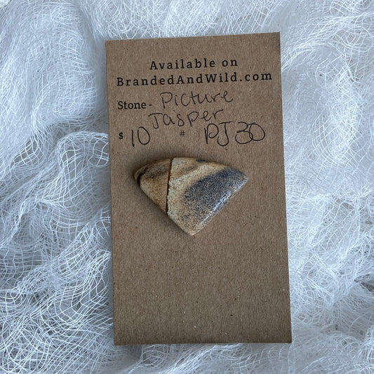 Picture Jasper Cabochon - PJ30