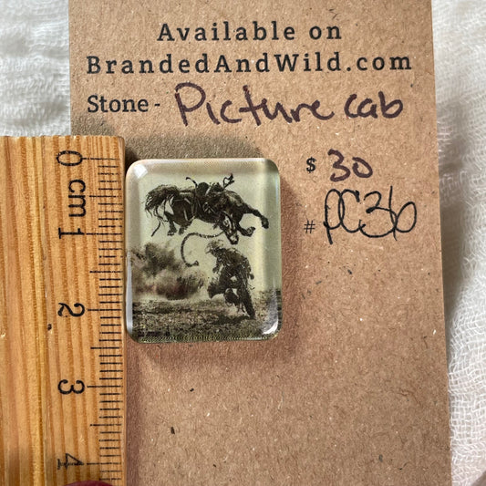 Picture Cabochon - Cabochon - PC36 A50265ED-F8B9-433B-A538-A3034C5946F4 Brandedandwild.com