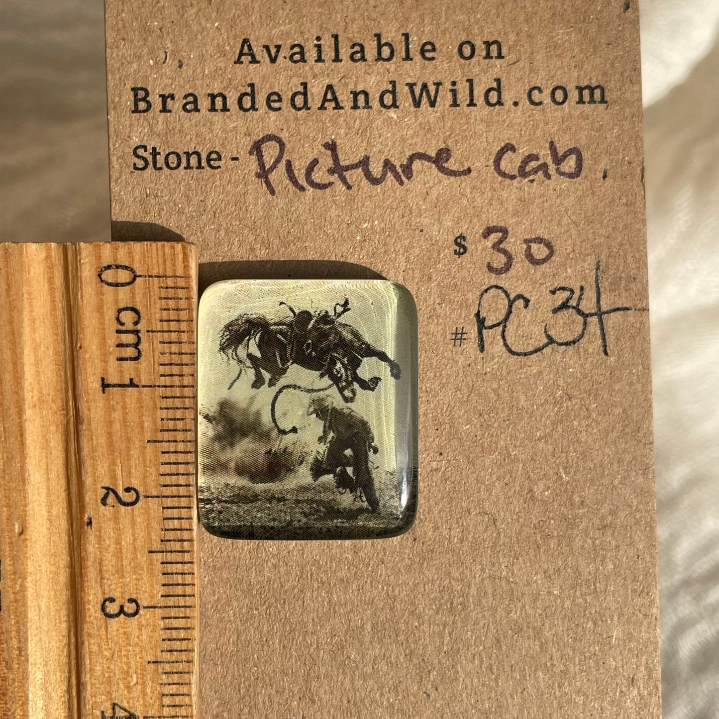 Picture Cabochon - Cabochon - PC34 A502F02A-27AD-427E-9B77-147C2DB2198D Brandedandwild.com