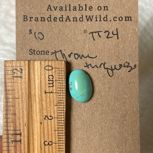 Tyrone Turquoise Cabochon - TT24 A511FD37-EFEA-4314-9A08-D25D37343B3F Brandedandwild.com