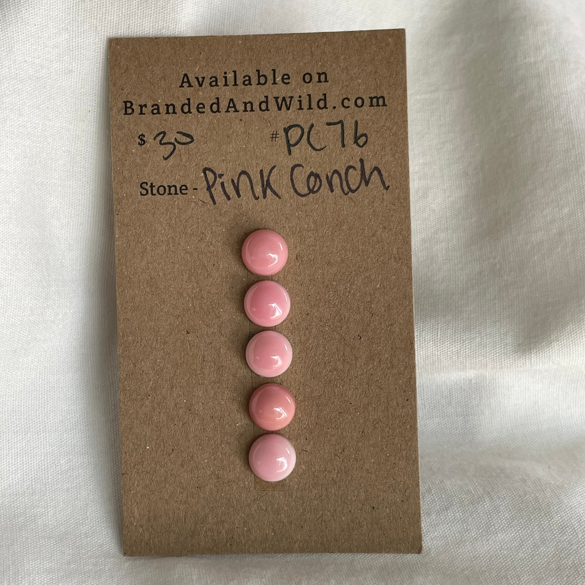 Pink Conch Cabochon - PC76 A52C10C2-F0C0-4C1A-A7E1-F22F3A5E088E Brandedandwild.com