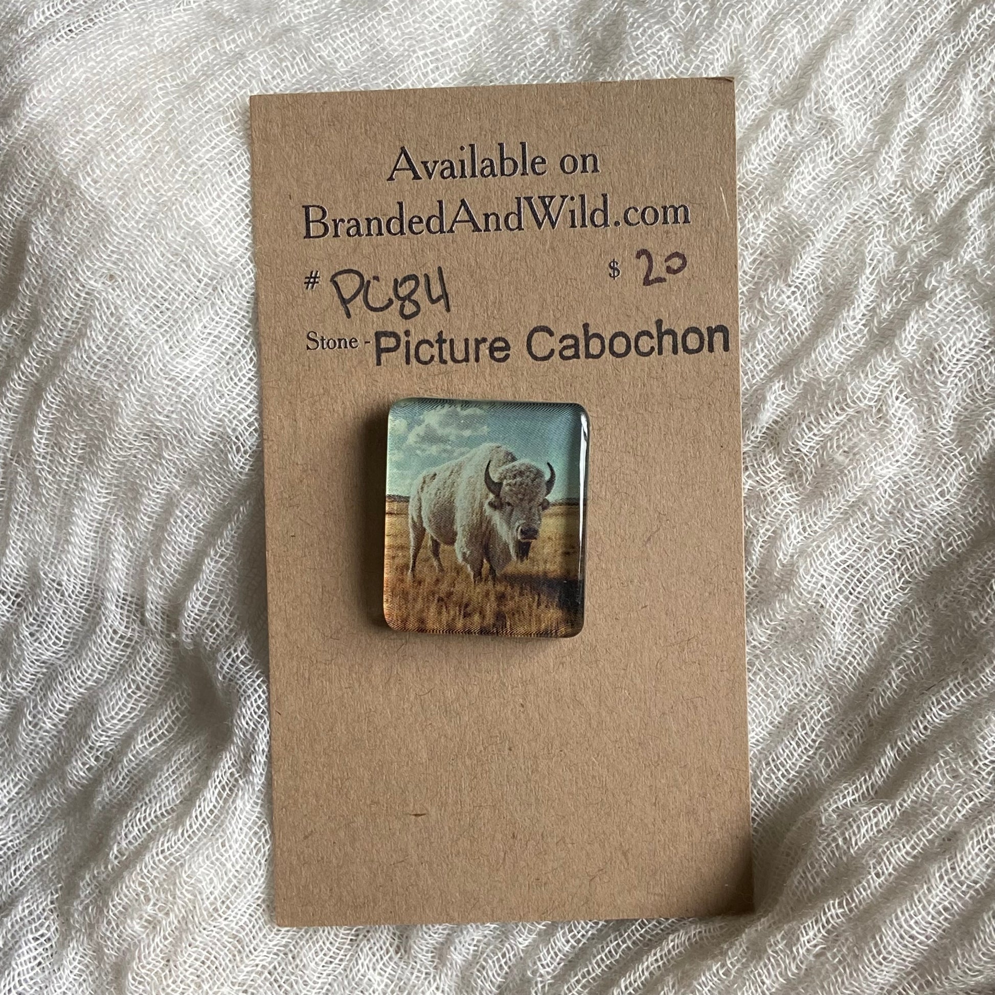 Picture Cabochon - Cabochon - PC84 A5529C0B-389F-4894-B9C3-F7D7E5FA056F Brandedandwild.com