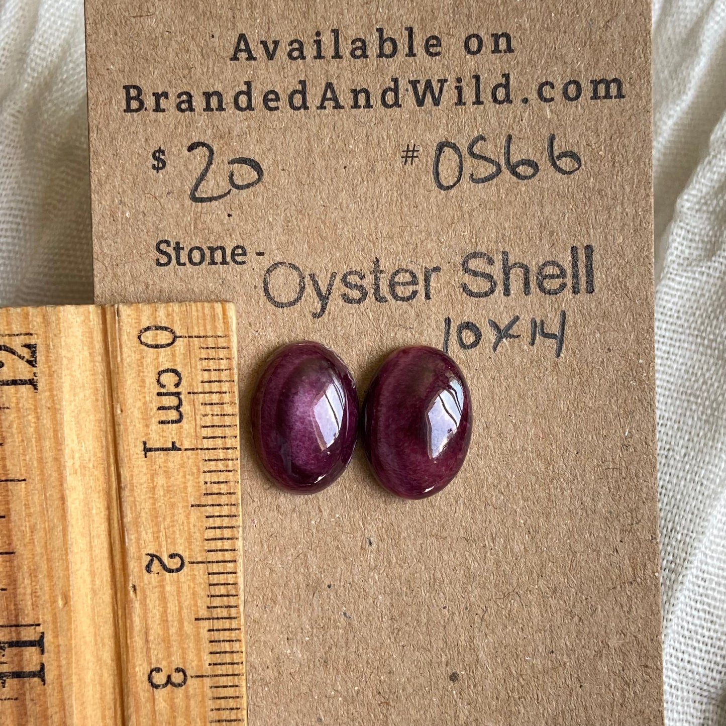 Oyster Shell Cabochon - OS66