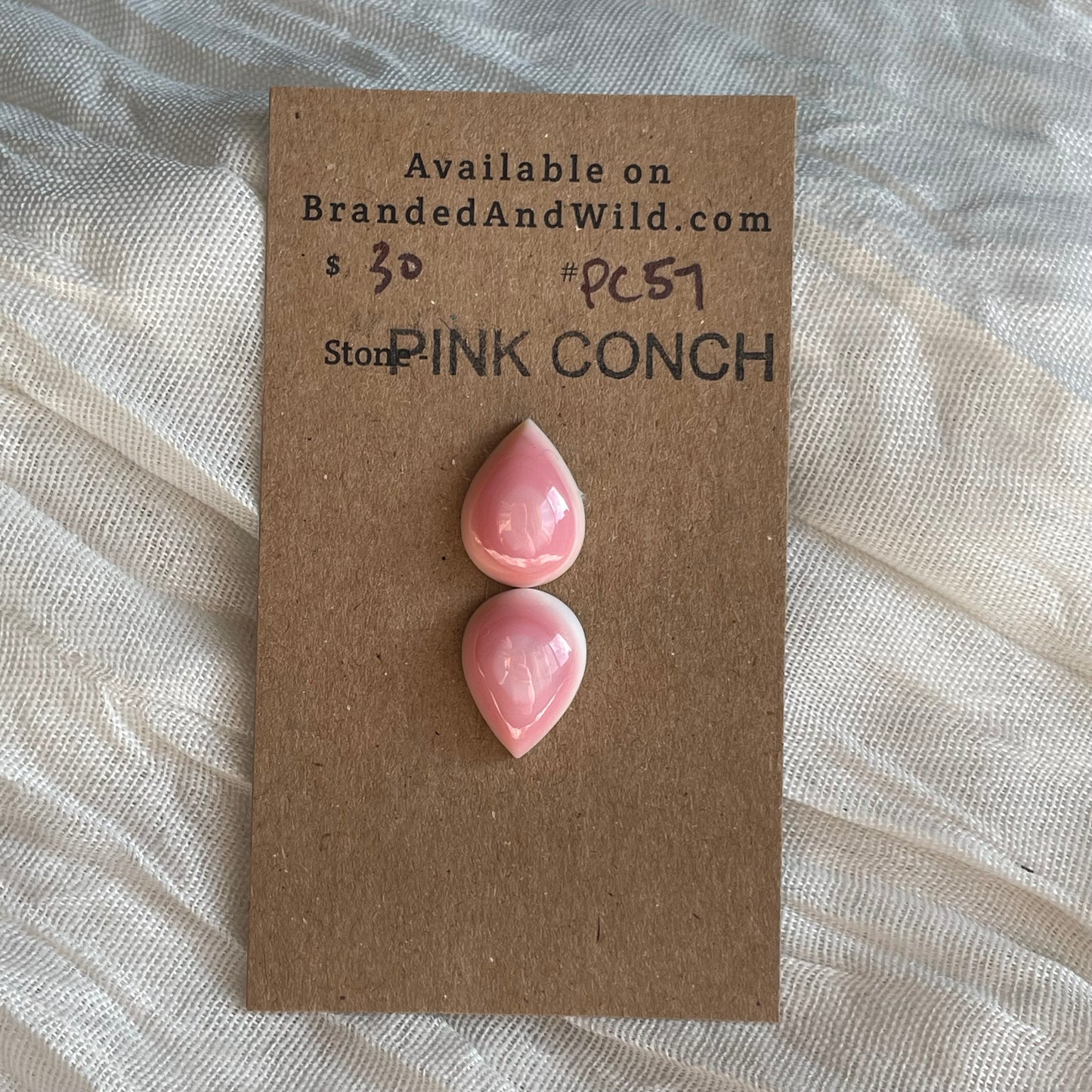 Pink Conch Cabochon - PC57 A6100623-AE3E-4F87-8613-BC75C292C2F5 Brandedandwild.com