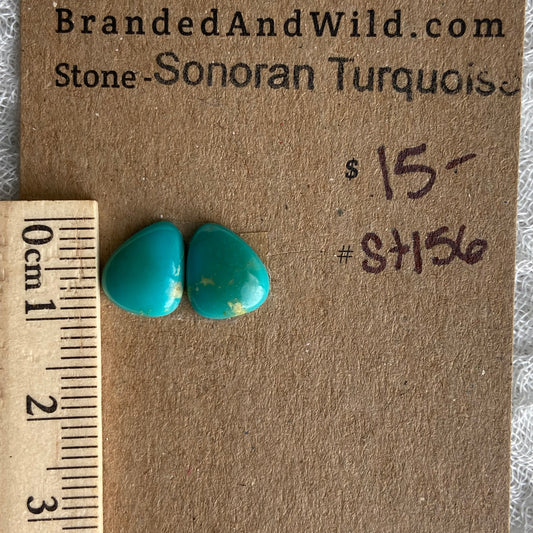 Sonoran Turquoise Cabochon - ST156