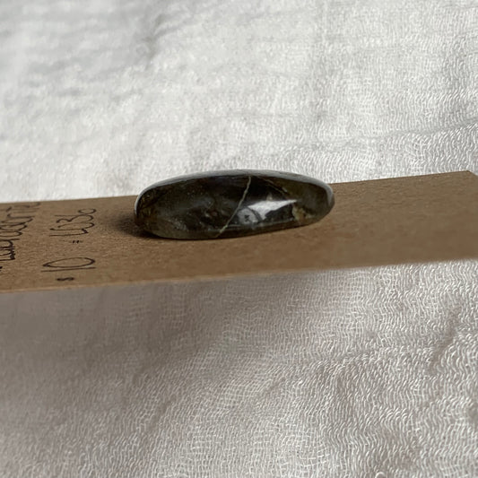 Labradorite Cabochon - L036