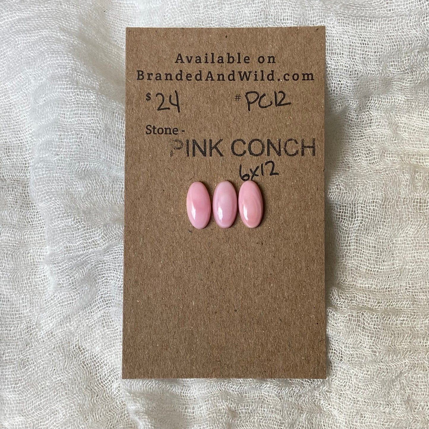 Pink Conch Cabochon - PC12 A668DA19-7C7D-4ADE-8FB1-3087E1FDD2D8 Brandedandwild.com