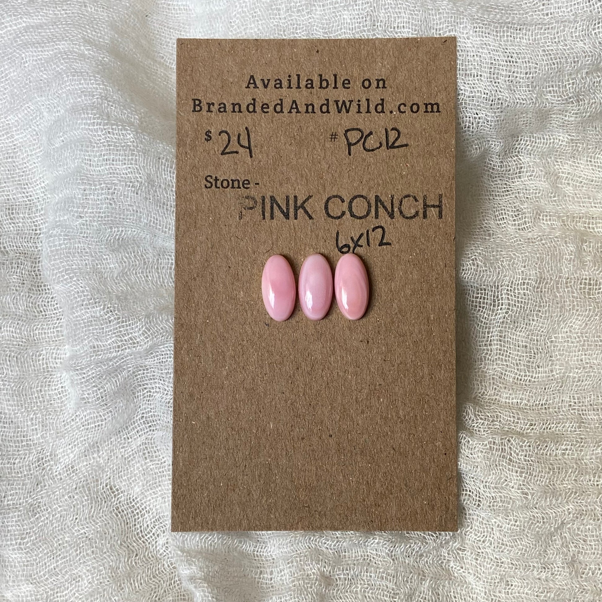 Pink Conch Cabochon - PC12 A668DA19-7C7D-4ADE-8FB1-3087E1FDD2D8 Brandedandwild.com