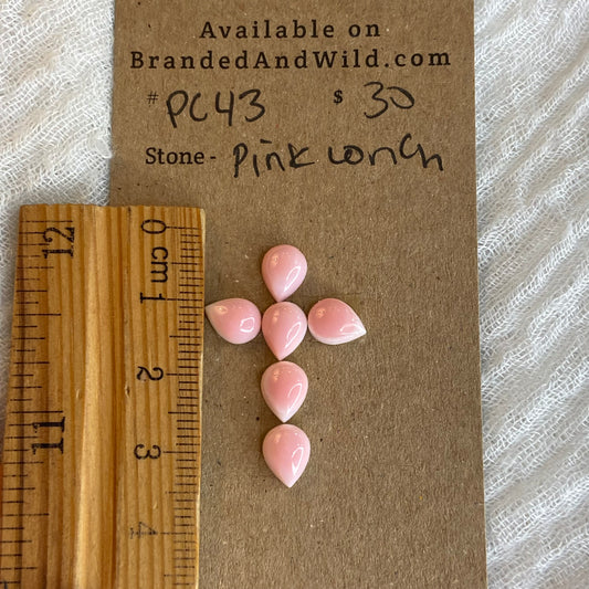 Pink Conch Cabochon - PC43