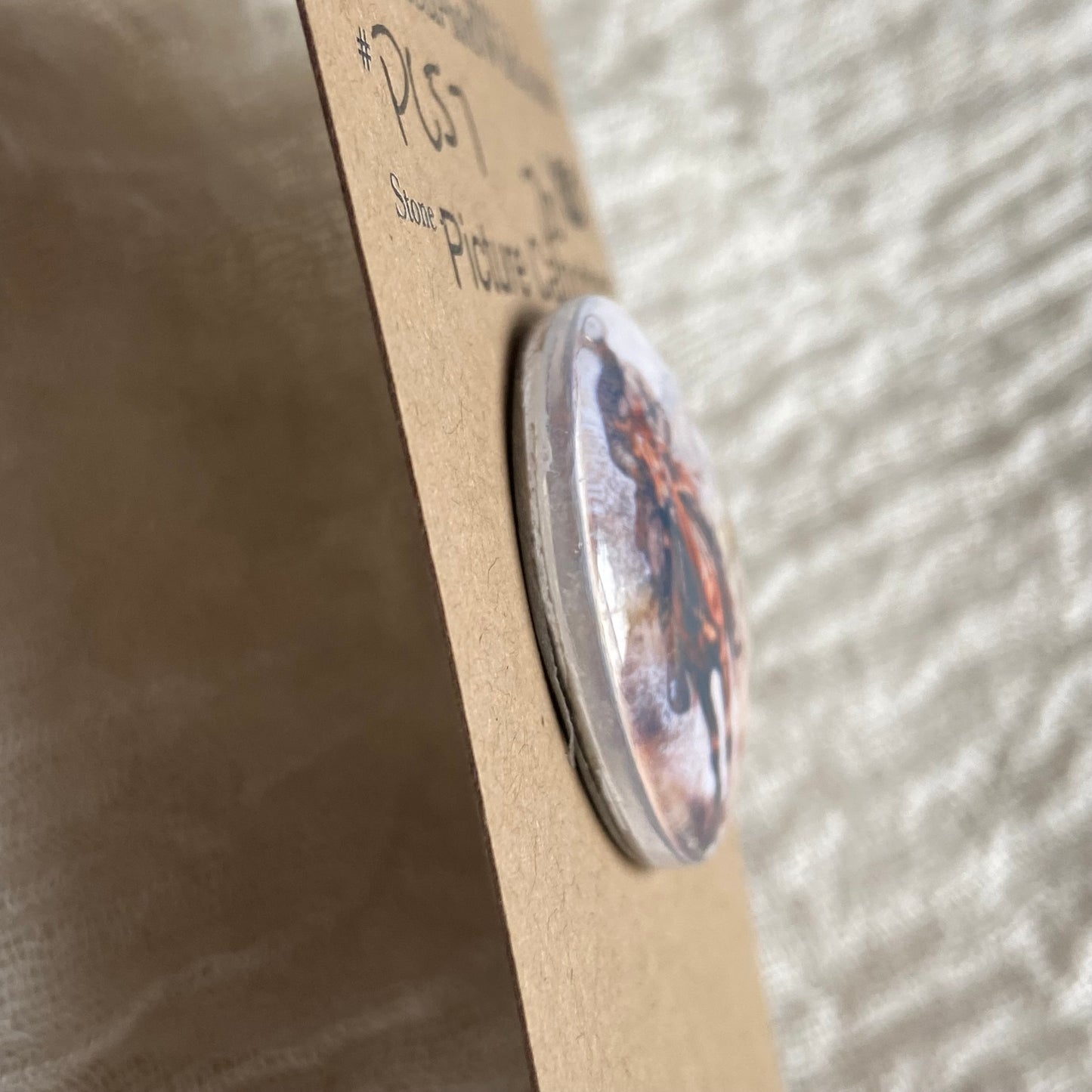 Picture Cabochon - Cabochon - PC57 A6AC3248-4A55-446D-B0E7-72A0D508EB98 Brandedandwild.com