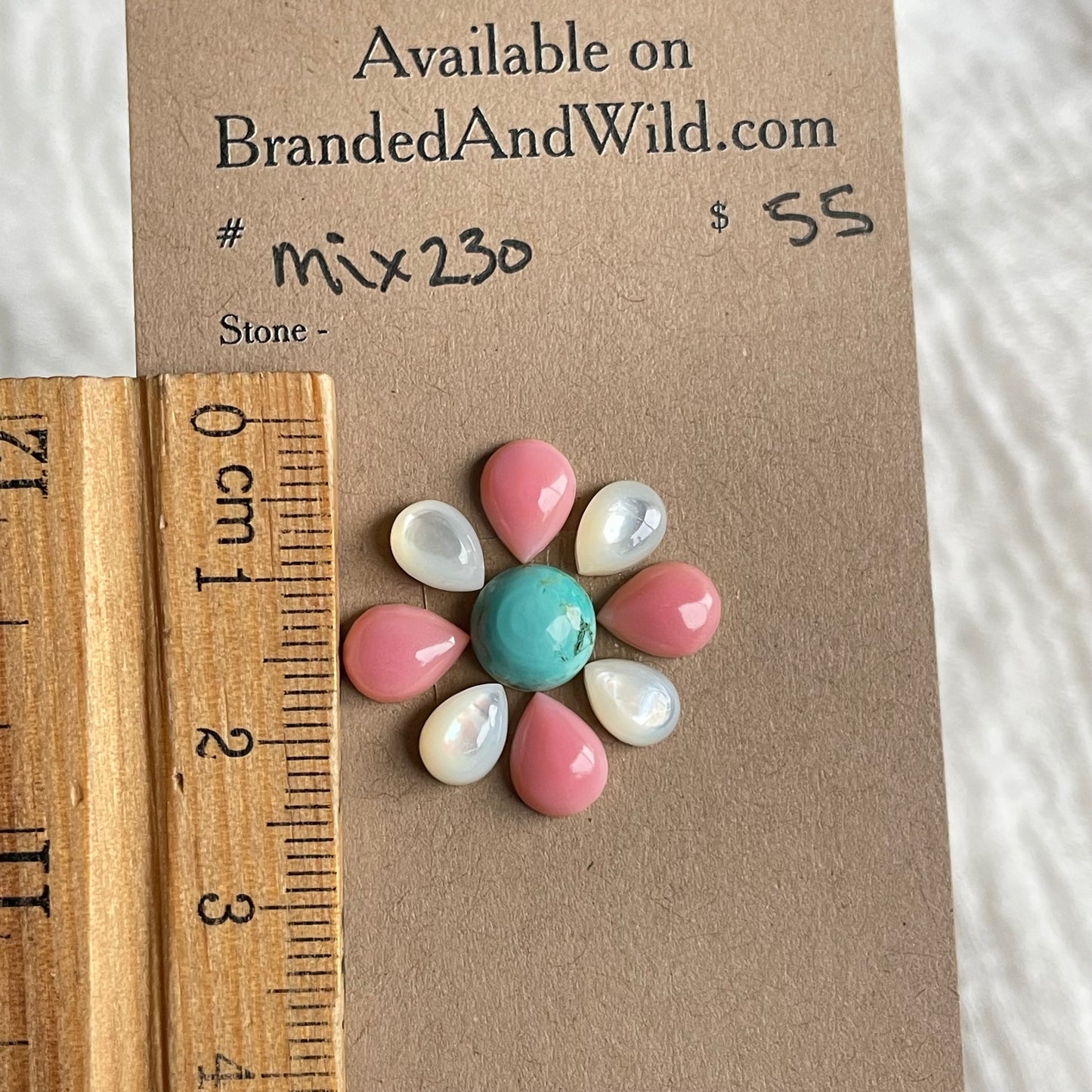 Pink Conch Mix Cabochon - MIX230 A6B0BE5C-3680-41EF-B0BB-CDD3C4D9A39A Brandedandwild.com
