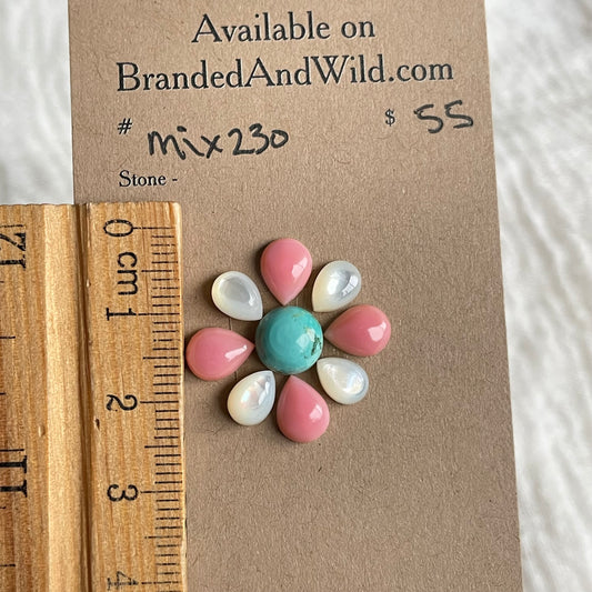 Pink Conch Mix Cabochon - MIX230 A6B0BE5C-3680-41EF-B0BB-CDD3C4D9A39A Brandedandwild.com