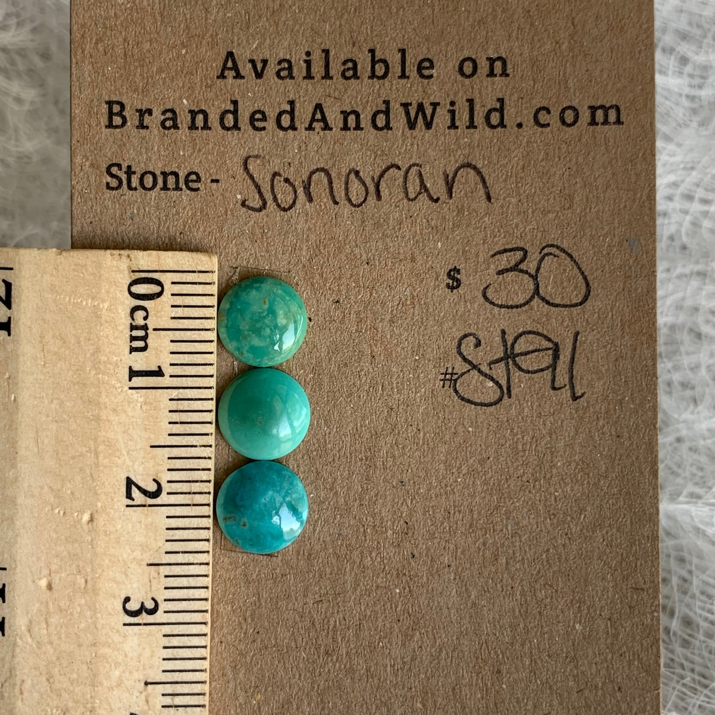 Sonoran Turquoise Cabochon - ST91