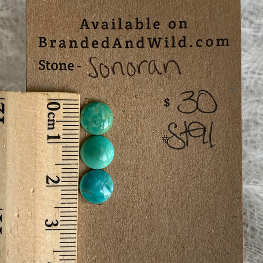 Sonoran Turquoise Cabochon - ST91