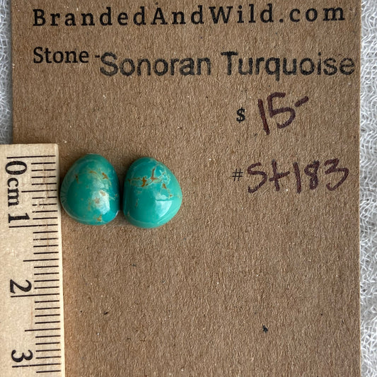Sonoran Turquoise Cabochon - ST183