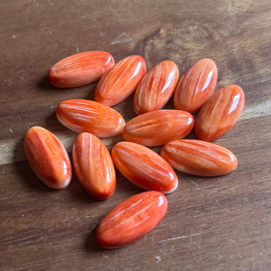 Orange Oyster Shell 10x20