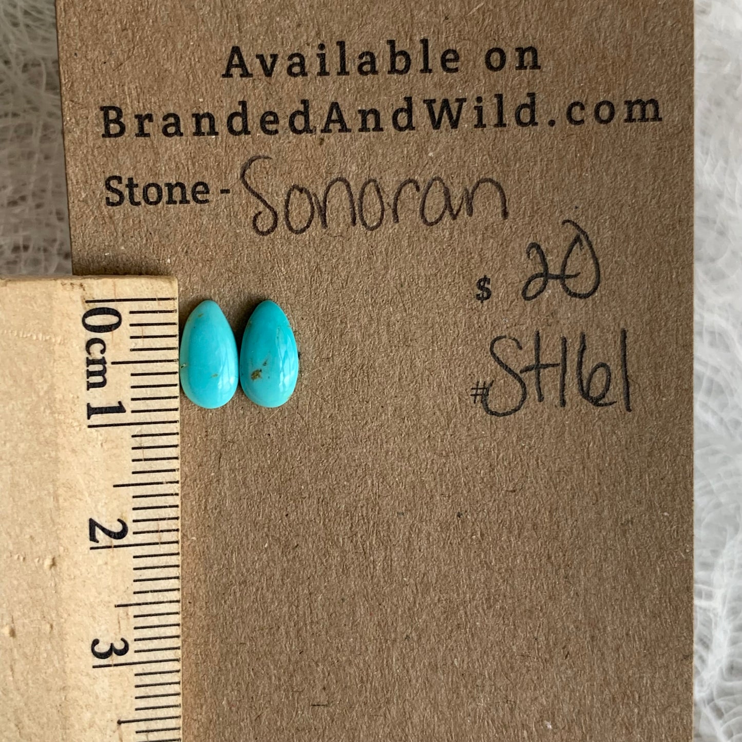 Sonoran Turquoise Cabochon - ST161