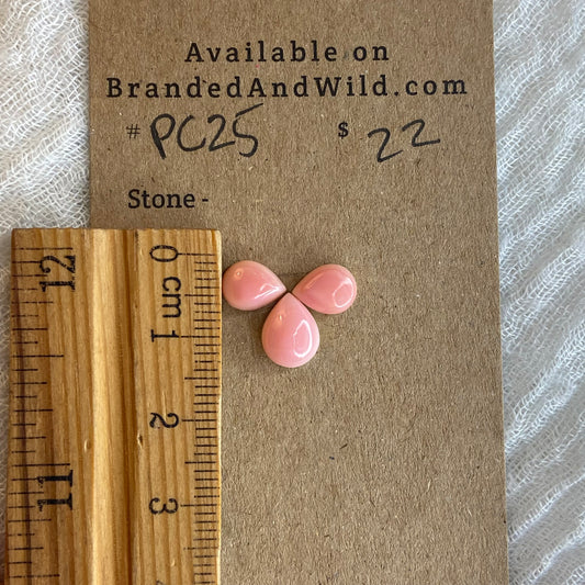Pink Conch Cabochon - PC25