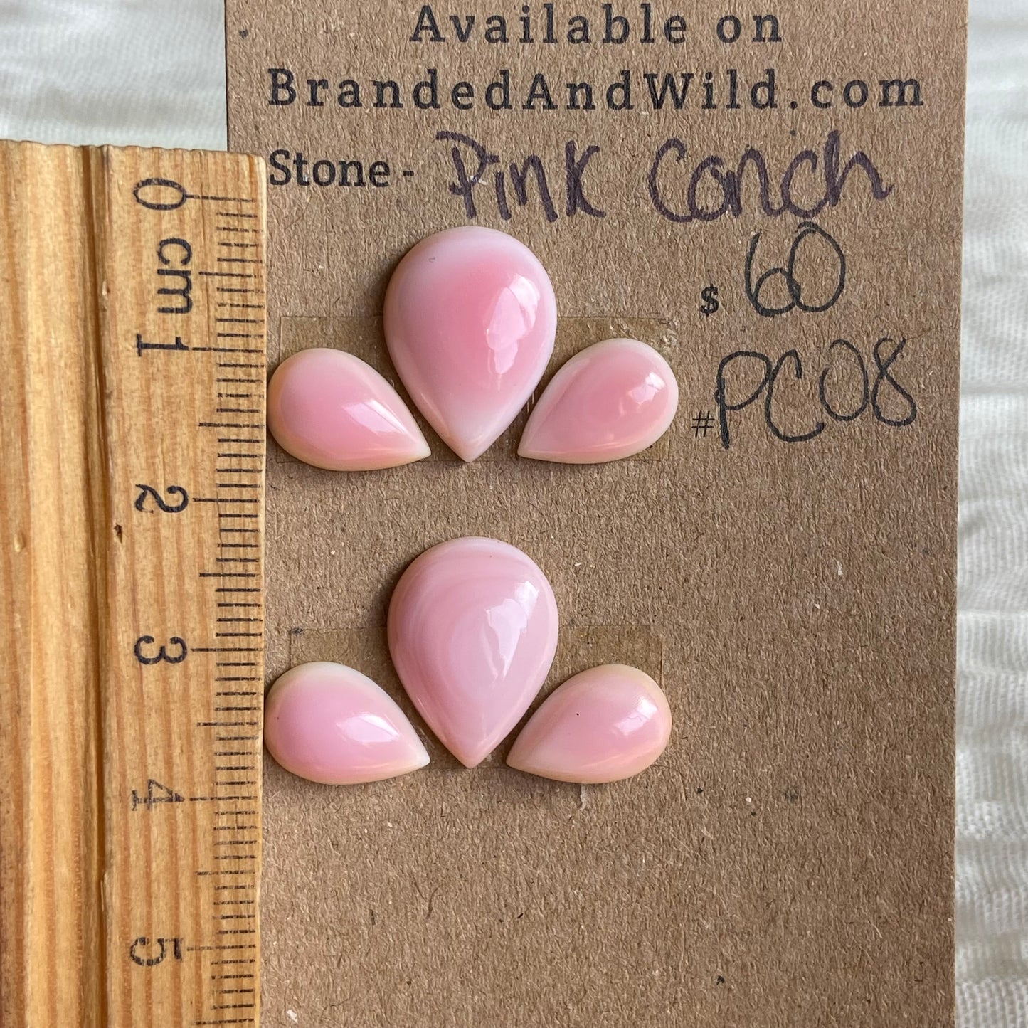 Pink Conch Cabochon - PC08 A785FEFA-248B-4FBE-AD72-73879AC82D7C Brandedandwild.com