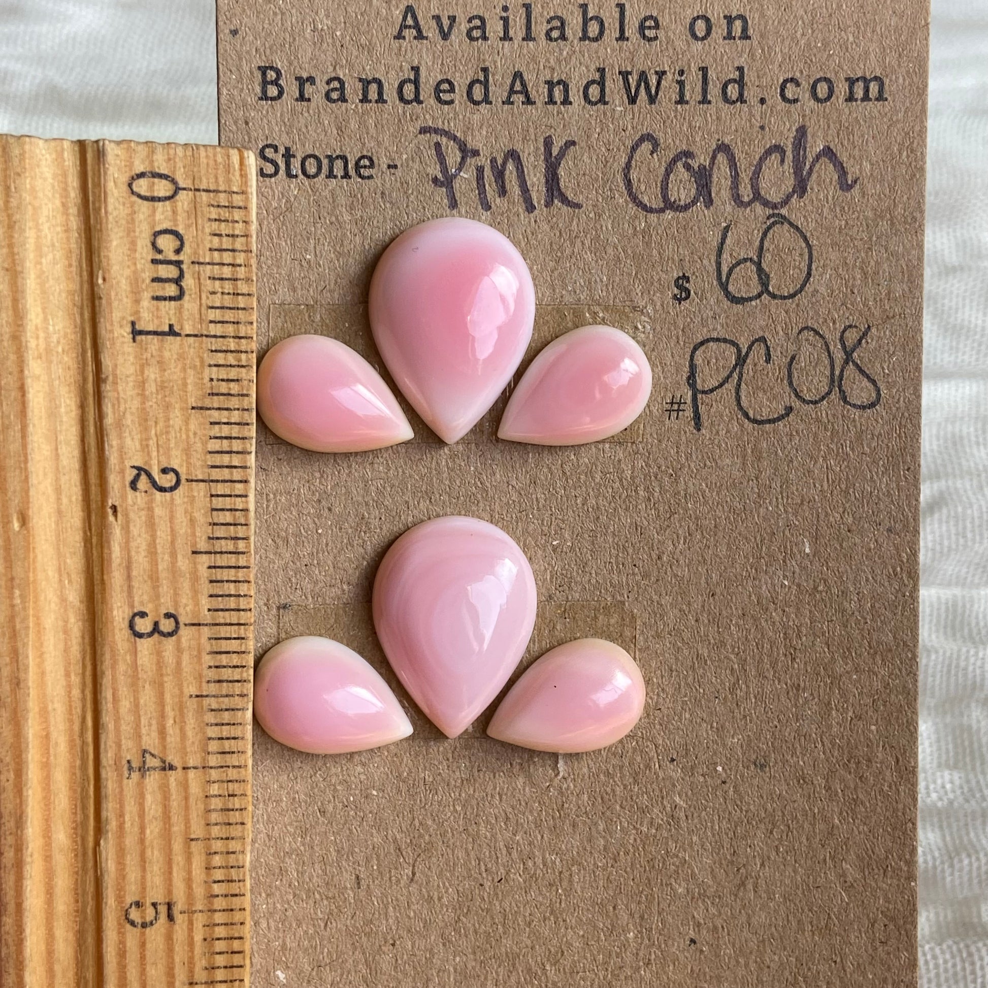 Pink Conch Cabochon - PC08 A785FEFA-248B-4FBE-AD72-73879AC82D7C Brandedandwild.com