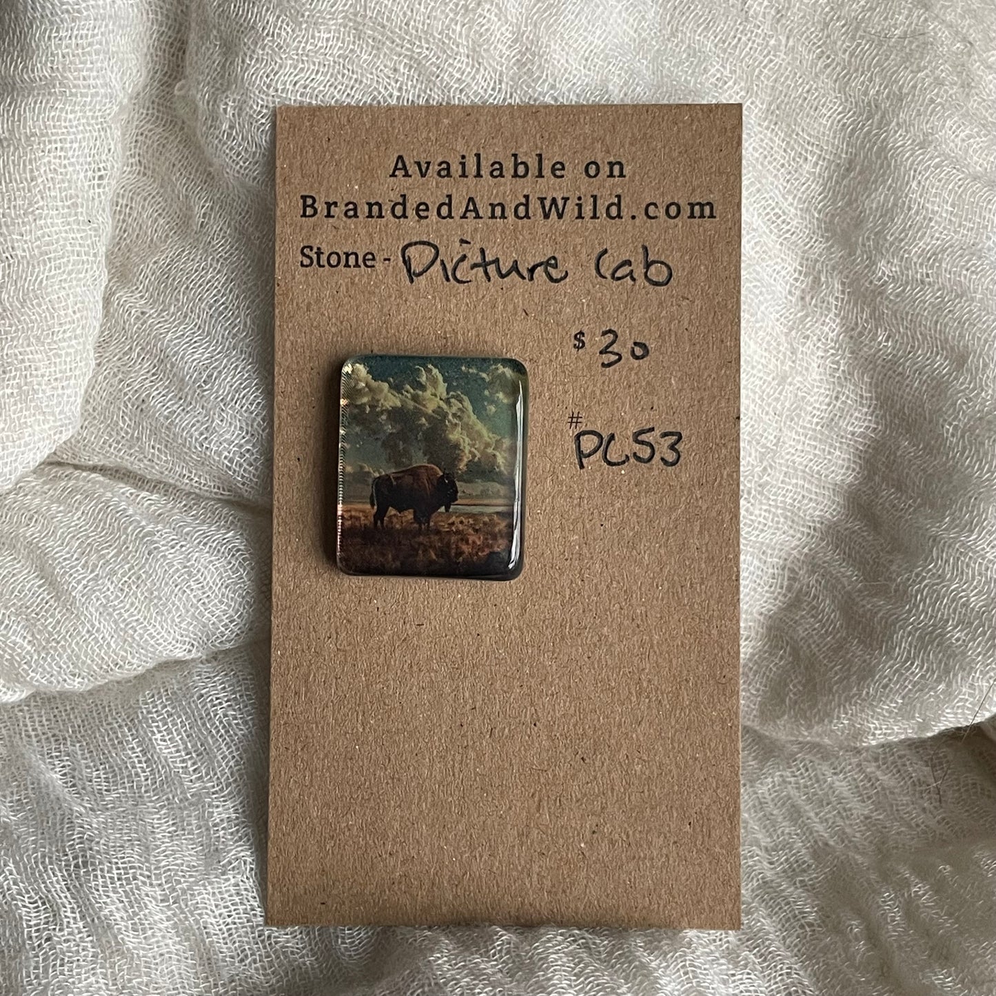 Picture Cabochon - Cabochon - PC53 A796D455-E74D-4CAD-BBBE-6F91A14A5C27 Brandedandwild.com
