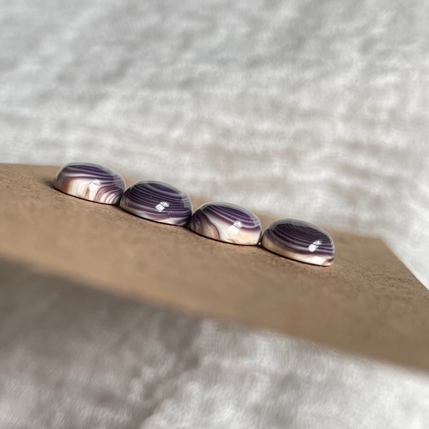 Wampum Quahog Shell Cabochon - WQS3 A79CE130-D026-46A5-B575-C243A8672C64 Brandedandwild.com