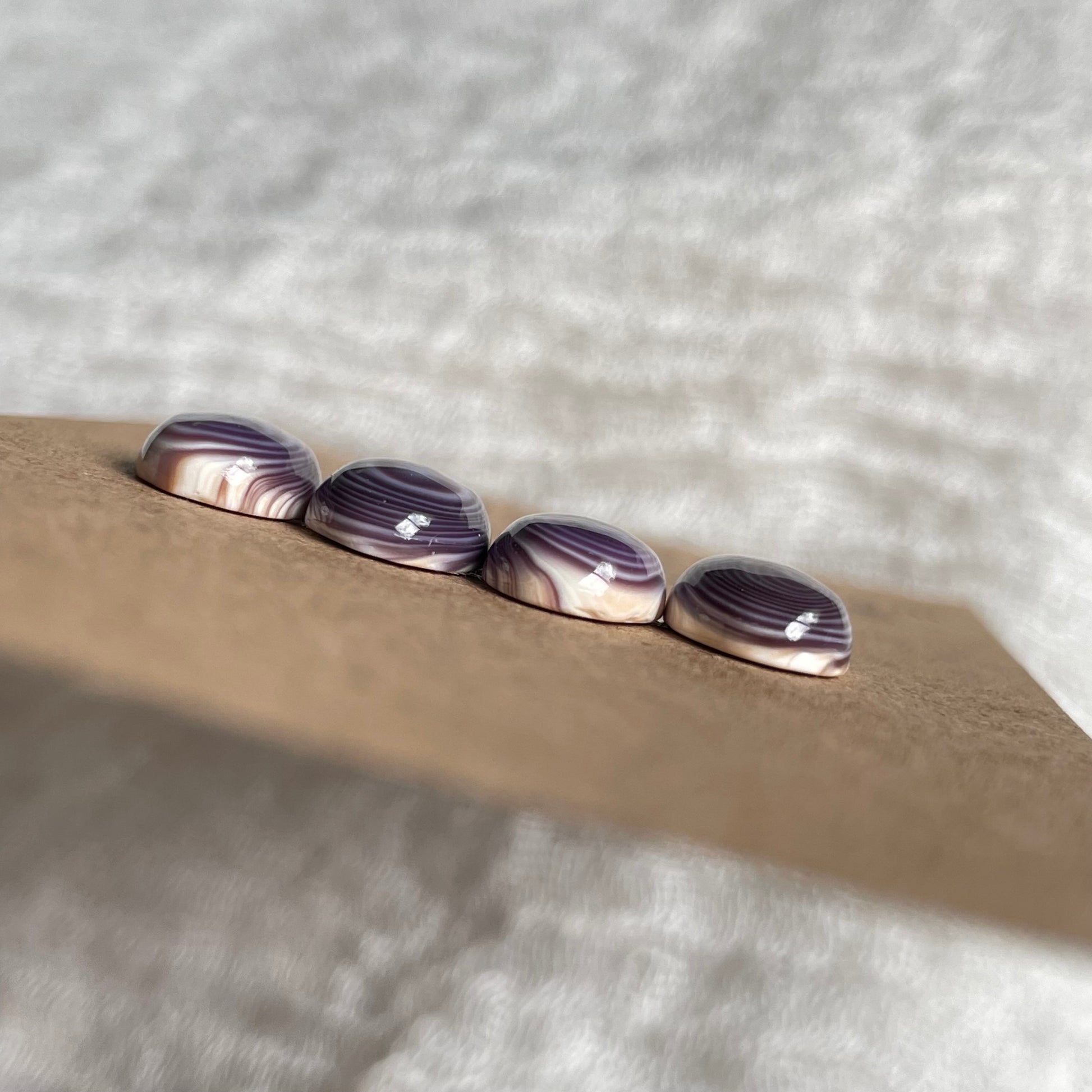Wampum Quahog Shell Cabochon - WQS3 A79CE130-D026-46A5-B575-C243A8672C64 Brandedandwild.com