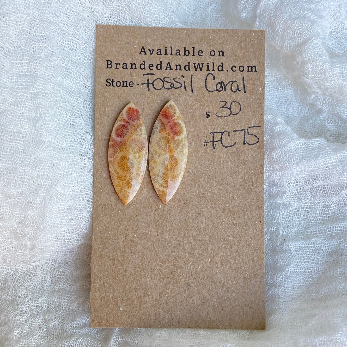 Fossil Coral Cabochon - FC75