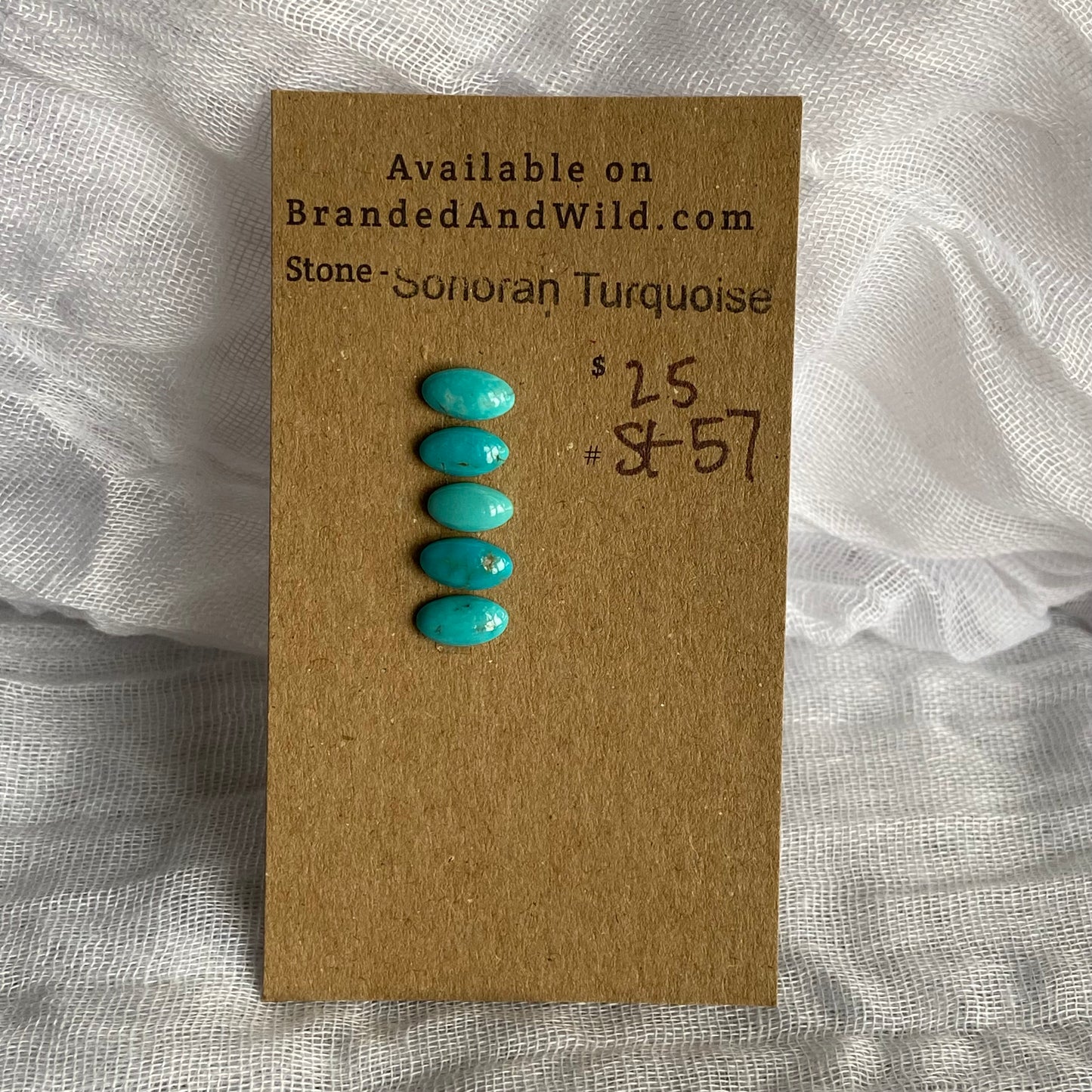 Sonoran Turquoise Cabochon - ST57