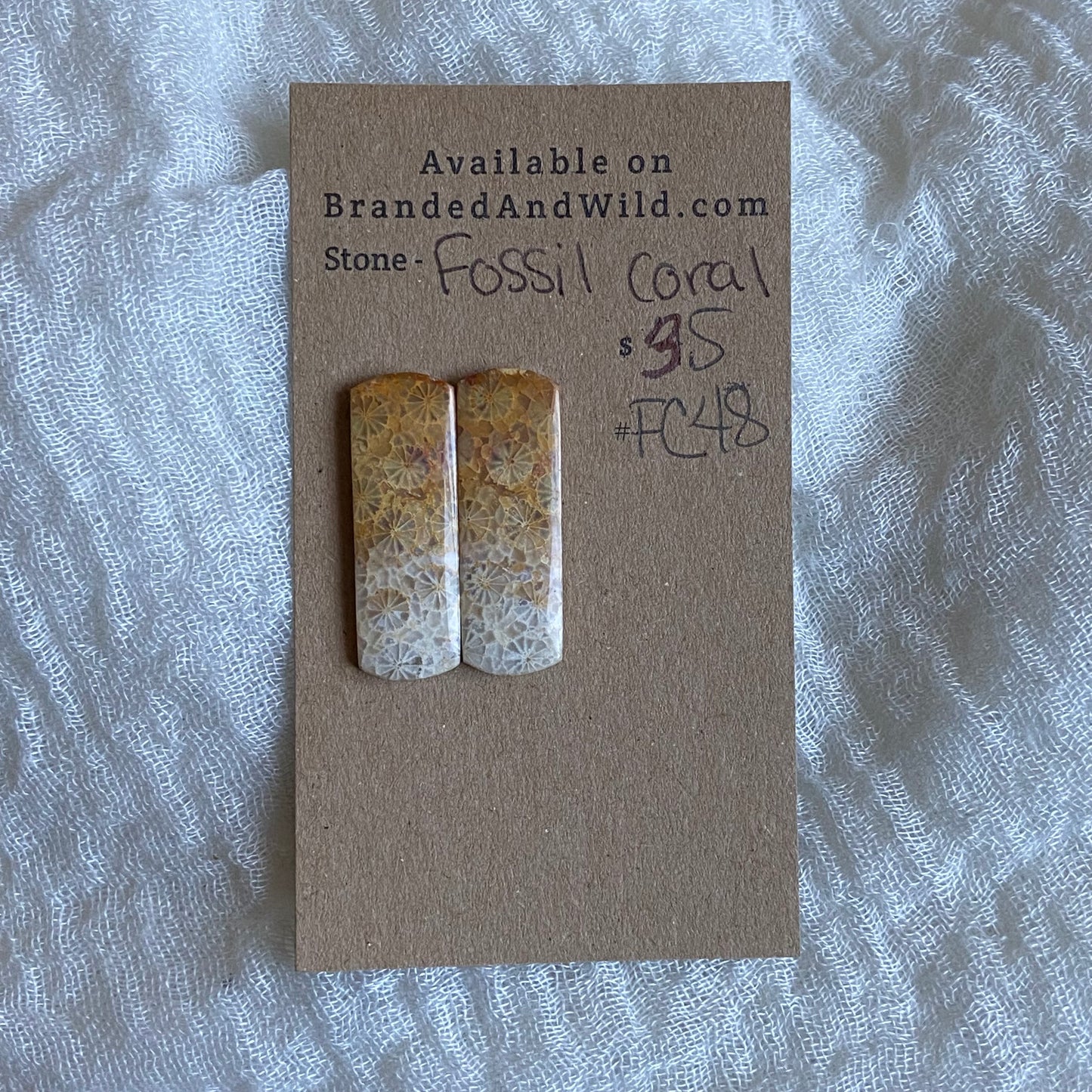 Fossil Coral Cabochon - FC48